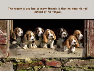 The reason a dog has so many friends is that he wags his tail instead of his tongue. 