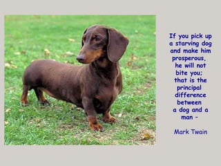 If you pick up a starving dog and make him prosperous,  he will not bite you;  that is the principal  difference between  a dog and a man  –  Mark Twain 