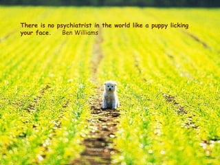 There is no psychiatrist in the world like a puppy licking your face.  Ben Williams 