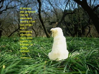 Ο σκύλος μου ανησυχεί για την οικονομία γιατί η Άλπο έχει ανέβει στα 3 δολάρια η κονσέρβα. Αυτό είναι σχεδόν 21 δολάρια σε λεφτά σκύλων. - Joe Weinstein 