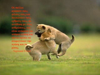 Οι σκύλοι αγαπούν τους φίλους τους και δαγκώνουν τους εχθρούς τους, σε αντίθεση με τους ανθρώπους, που είναι ανίκανοι για ατόφια αγάπη και πάντα πρέπει να αναμιγνύουν την αγάπη και το μίσος. - Sigmund Freud 