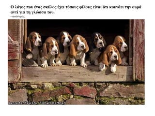 Ο λόγος που ένας σκύλος έχει τόσους φίλους είναι ότι κουνάει την ουρά  αντί για τη γλώσσα του. -  ανώνυμος 