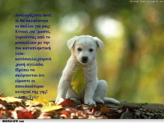 Αναλογίζεστε ποτέ τι θα σκέφτονται οι σκύλοι για μας; Εννοώ ,να ΄μαστε, γυρνώντας από το μπακάλικο με την πιο καταπληκτική λεία-κοτόπουλο,χοιρινό,μισή αγελάδα. Πρέπει να σκέφτονται ότι είμαστε οι σπουδαιότεροι κυνηγοί της γης! - Anne Tyler 