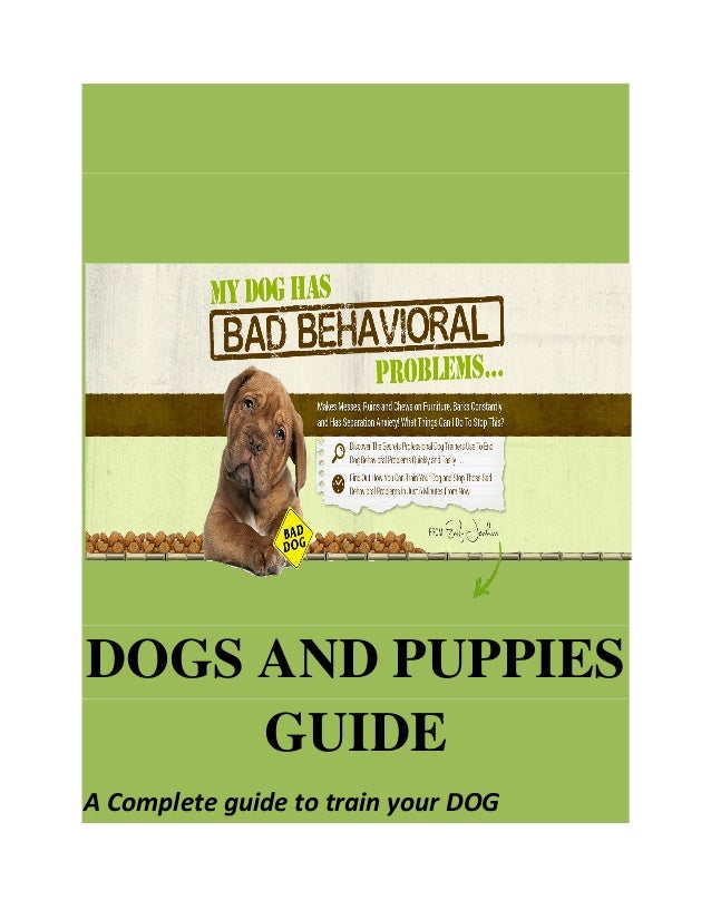 puppy training guide