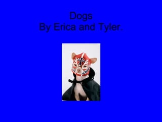 Dogs By Erica and Tyler. 