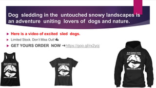 Dog sledding in the untouched snowy landscapes is
an adventure uniting lovers of dogs and nature.
 Here is a video of excited sled dogs.
 Limited Stock. Don’t Miss Out! 💪
 GET YOURS ORDER NOW ➜https://goo.gl/rx2yoj
 