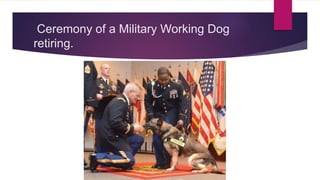 Ceremony of a Military Working Dog
retiring.
 