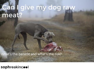 Can I give my dog raw
meat?
What’s the benefit and what’s the risk?
 