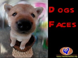 D ogs
Faces
 