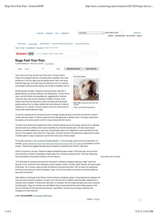 Dogs Feel Your Pain - ScienceNOW                                                                              http://news.sciencemag.org/sciencenow/2012/05/dogs-feel-yo...




                                       AAAS.ORG     FEEDBACK      HELP    LIBRARIANS                Daily News                            Enter Search Term                    ADVANCED

                                                                                                                                              ALERTS   ACCESS RIGHTS   MY ACCOUNT   SIGN IN




            News Home      ScienceNOW      ScienceInsider    Premium Content from Science      About Science News

         Home > News > ScienceNOW > May 2012 > Dogs Feel Your Pain




         Dogs Feel Your Pain
         by Zuberoa Marcos on 7 May 2012, 4:32 PM | 20 Comments


            Email Share
         Share       Print | Share hare
                                 S             37          S M More
                                                       Share hare ore             PREVIOUS ARTICLE               NEXT ARTICLE



         Yawn next to your dog, and she may do the same. Though it seems
                                                                                            ENL ARG E I M AG E
         simple, this contagious behavior is actually quite remarkable: Only a few
         animals do it, and only dogs cross the species barrier. Now a new study
         finds that dogs yawn even when they only hear the sound of us yawning,
         the strongest evidence yet that canines may be able to empathize with us.


         Besides people and dogs, contagious yawning has been observed in
         gelada baboons, stump-tail macaques, and chimpanzees. Humans tend to
         yawn more with friends and acquaintances, suggesting that "catching"
         someone's yawn may be tied to feelings of empathy. Similarly, some
         studies have found that dogs tend to yawn more after watching familiar
                                                                                            Open wide. Dogs yawn when they hear
         people yawning. But it is unclear whether the canine behavior is linked to         us yawn.
         empathy as it is in people. One clue might be if even the mere sound of a          Credit: Joyce Marrero/Shutterstock
         human yawn elicited yawning in dogs.


         To that end, scientists at the University of Porto in Portugal recruited 29 dogs, all of whom had lived for at least 6
         months with their owners. To reduce anxiety, the study was performed in familiar rooms in the dogs' homes and in
         the presence of a known person but with no visual contact with their owners.


         The team, led by behavioral biologist Karine Silva, recorded yawning sounds of the dogs' owners and an unfamiliar
         woman as well as an artificial control sound consisting of a computer-reversed yawn. (To help induce natural
         yawning, volunteers listened to an audio loop of prerecorded yawns over headphones.) Each dog heard all of the
         sounds in two sessions, each carried out 7 days apart. During the sessions, the researchers measured the number
         of elicited yawns in dogs in response to sounds from known and unknown people.


         As the team will report in the July issue of Animal Cognition, 12 out of 29 dogs yawned during the experiment. On
         average, canines yawned five times more often when they heard humans they knew yawning as opposed to control
         sounds. "These results suggest that dogs have the capacity to empathize with humans," says Silva.


         That's not surprising, she says. People first began domesticating dogs at least 15,000 years ago, and since then
         we've bred them to perform increasingly complex tasks, from hunting to guiding the blind. This close relationship
         may have fostered cross-species empathy over the millennia.                                                                 ScienceNOW. ISSN 1947-8062


         "This study tells us something new about the mechanisms underlying contagious yawning in dogs," says Evan
         McLean, a Ph.D. student at Duke University's Canine Cognition Center in Durham, North Carolina, who was not part
         of the study. "As in humans, dogs can catch this behavior using their ears alone." Still, he notes, the experiments
         don't tell us much about the nature of empathy in dogs. "Do they think about our emotions and internal states the
         way we do as humans?"


         Ádám Miklósi, an ethologist at the Eötvös Loránd University in Budapest, agrees. "Using behaviors as indicators will
         only show some similarity in behavior," he says, "but it will never tell us whether canine empathy, whatever this is,
         matches human empathy." Previous work has shown, for example, that when dogs look guilty, they may not actually
         be feeling guilty. "Dogs can simulate very well different forms of social interest that could mislead people to think
         they are controlled by the same mental processes," says Miklósi, "but they may not always understand the
         complexity of human behavior."


         Follow ScienceNOW on Facebook and Twitter
                                                                                                                 Posted in Zoology




1 of 4                                                                                                                                                                          4/7/13 11:01 PM
 