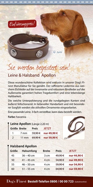 Größe Breite Preis JETZT 
1 7 mm 59,90 € nur 49,90 € 
2 11 mm 69,90 € nur 59,90 € 
Leine Apollon (Länge 2,20 m) 
Größe Halsumfang Breite Preis JETZT 
45 36 – 40 cm 3 cm 49,90 € nur 44,90 € 
50 41 – 45 cm 4 cm 54,90 € nur 49,90 € 
55 46 – 50 cm 4 cm 59,90 € nur 54,90 € 
60 51 – 55 cm 4 cm 64,90 € nur 59,90 € 
Halsband Apollon 
Bestell-Telefon 0800 / 00 00 723 (Gebührenfrei) 
Sie werden begeistert sein! 
Leine & Halsband Apollon 
Diese wunderschöne Kollektion wird exklusiv in unserer Dog’s Fi-nest 
Manufaktur für Sie genäht. Der raffinierte Ledermix aus wei-chem 
Elchleder auf der Innenseite und robustem Rindleder auf der 
Außenseite garantiert hohen Tragekomfort und eine lebenslange 
Haltbarkeit. 
Die weiche Unterpolsterung und die rundgelegten Kanten sind 
äußerst fellschonend. In liebevoller Handarbeit und mit besonde-rer 
Sorgfalt werden die stilvollen Ornamente eingearbeitet. 
Eine passende Leine, 3-fach verstellbar, kann dazu bestellt werden. 
Farbe: havanna 
Jumi 
Ein führungspreis! 
 