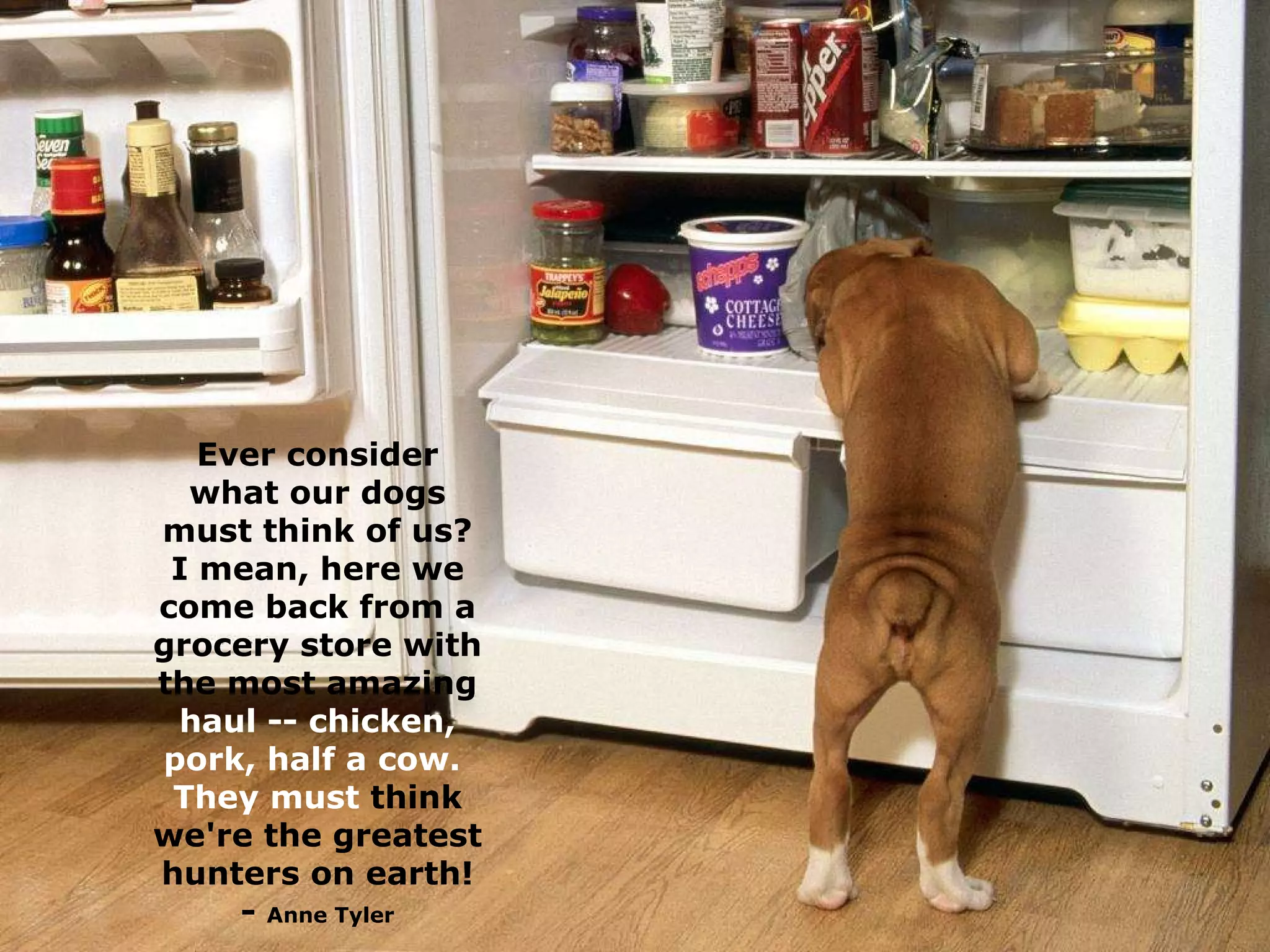 Ever consider what our dogs must think of us? I mean, here we come back from a grocery store with the most amazing  haul -- chicken,   pork, half a   cow.  They must  think we're the greatest hunters on earth! -  Anne Tyler 