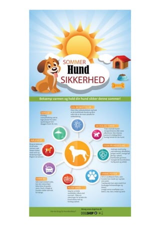 Dogshop - Take care of your dog in the summer heat