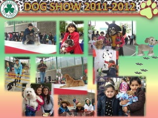 Dog sShow 2011-2012