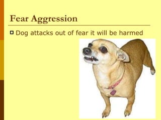 Dogs I Behavior And Restraint Of Dogs | PPT