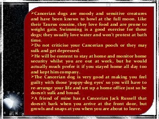 Cancerian dogs are moody and sensitive creatures
and have been known to howl at the full moon. Like
their Taurus cousins, they love food and are prone to
weight gain. Swimming is a good exercise for these
dogs; they usually love water and won’t protest at bath
time.
Do not criticise your Cancerian pooch or they may
sulk and get depressed.
He will be content to stay at home and monitor home
security whilst you are out at work, but he would
actually much prefer it if you stayed home all day too
and kept him company.
The Cancerian dog is very good at making you feel
guilty with those ‘puppy-dog eyes’ so you will have to
re-arrange your life and set up a home office just so he
doesn’t sulk and brood.
A friend of mine has a Cancerian Jack Russell that
doesn’t bark when you arrive at the front door, but
growls and snaps at you when you are about to leave.
 