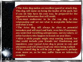 The Aries dog makes an excellent guard or attack dog.
This dog will insist on being the leader of the pack, but
if you let him have his own way, be prepared for the
aggressive behaviour that will result.
You must endeavour to be the top dog in this
relationship and set out what is acceptable behaviour
and what is not.
The Aries dog will always be alert to potential
intruders and will snarl and bark, even bite if necessary,
any uninvited travelling salespersons, survey-takers, or
other hawkers who happen to knock on your door.
After a while people might stop coming around, but
that could include your friends too! Headstrong and
impulsive, your typical Aries dog is prone to cuts and
abrasions and will always lead you when being walked.
If he a small dog he will be just as aggressive, perhaps
even more so, as he may suffer from an inferiority
complex.
 