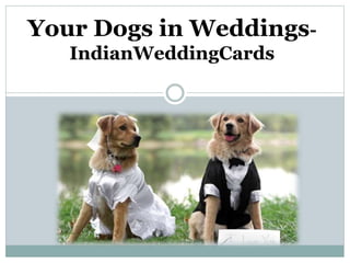 Your Dogs in Weddings-
IndianWeddingCards
 