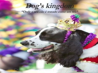 Dog’s kingdom “Onde o seu cão é tratado como um rei.” 