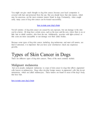 You might not give much thought to dog skin cancer, because your loyal companion is
covered with hair and protected from the sun. But you should know that skin tumors, which
may be cancerous, are the most common tumors found in dogs. Fortunately, when caught
early, many cases of dog skin cancer can be treated successfully.
how to train your dog’s brain
Not all varieties of dog skin cancer are caused by sun exposure, but sun damage to the skin
can be a factor. All dogs have certain areas, such as the nose and the ears, where there is no or
little hair to shield sensitive skin from the sun. Additionally, pooches with light-colored or
thin coats are more susceptible to sun damage over their entire bodies.
Because some types of dog skin cancer, including dog melanomas and mast cell tumors, are
fatal if untreated, it is important that you have your veterinarian check any suspicious
growths.
Types of Skin Cancer in Dogs
There are different types of dog skin cancers. Three of the most common include:
Malignant melanoma
Just as in people, malignant melanoma is a type of skin cancer in dogs that affects pigmented
cells known as melanocytes. Dogs often develop benign tumors in pigmented cells that do not
metastasize, which are called melanocytes. These tumors are found in areas of the dog’s body
that have hair.
how to train your dog’s brain
 