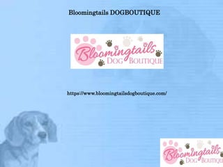 Bloomingtails DOGBOUTIQUE
https://www.bloomingtailsdogboutique.com/
 