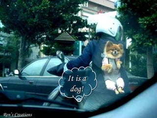 Ren’s Creations It is a dog!