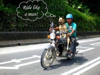 Ride like a man! Ren’s Creations