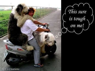 This sure is tough on me! Ren’s Creations