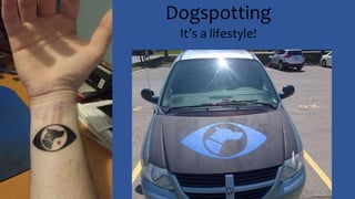 Dogspotting
It’s a lifestyle!
 