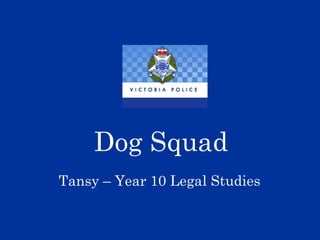 Dog Squad Tansy – Year 10 Legal Studies 