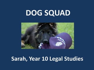 DOG SQUAD Sarah, Year 10 Legal Studies 