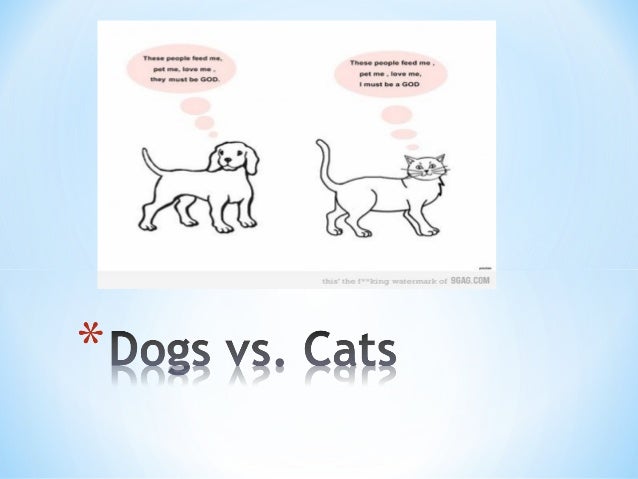 Why Cats Are Better Than Dogs Persuasive Essay