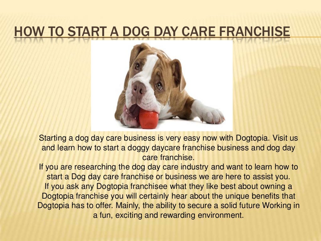 Pet Franchises For Sale Dog Franchise Opportunities