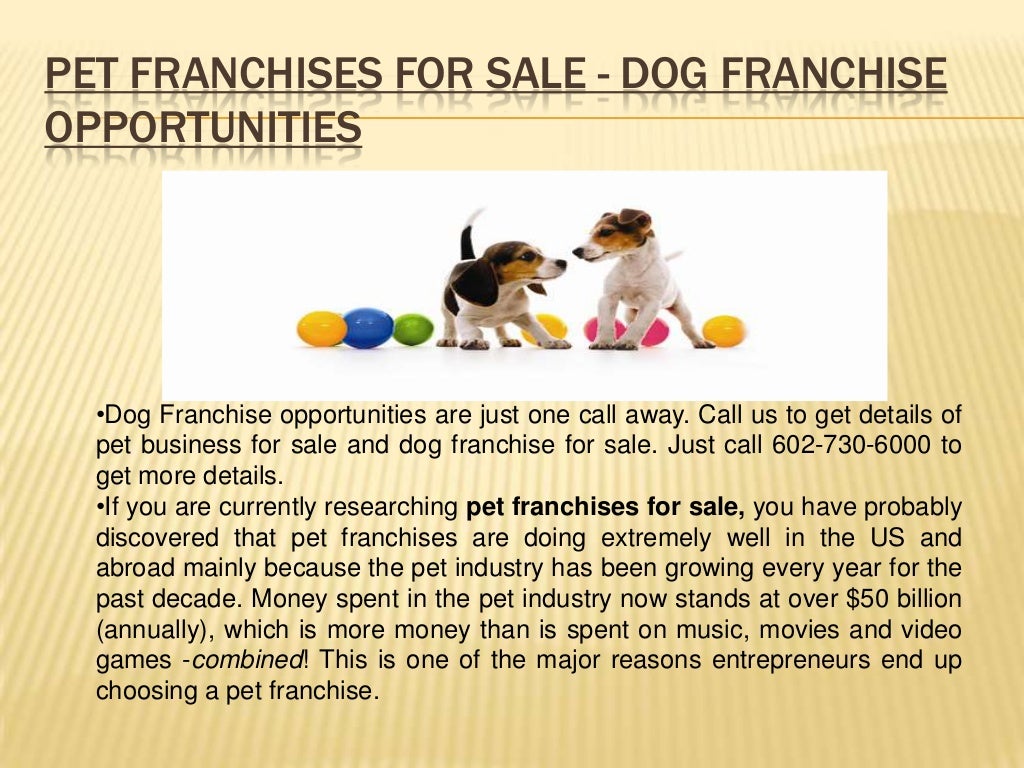 Pet Franchises For Sale Dog Franchise Opportunities