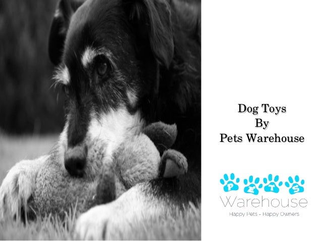the warehouse dog toys