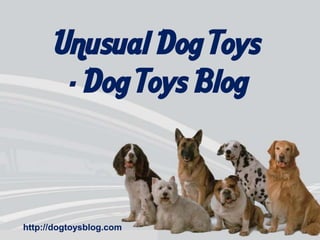 Unusual Dog Toys
        - Dog Toys Blog



http://dogtoysblog.com
 