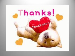 Dog Toys For Super Chewers