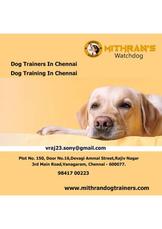Dog Trainers In Chennai.pdf