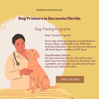 Dog Trainers in Sarasota Florida
Dog Traning Programs
Dog Traning Programs
Every dog training program is customized to
fit your dog’s needs after your FREE dog
training evaluation. You can have an obedient
off-leash dog in as little as TEN days!
Dog Boarding Options
Do you want your dog to stay with us but
don’t have the time to drive to Sarasota? Not
a problem, we can pick-up and drop off your
dog for you within 20 miles!
dogtrainersarasota.com
(740) 438-0893
 
