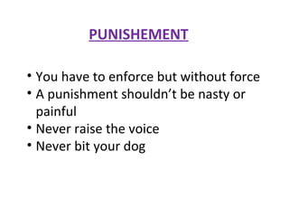 PUNISHEMENT You have to enforce but without force A punishment shouldn’t be nasty or painful Never raise the voice Never bit your dog 