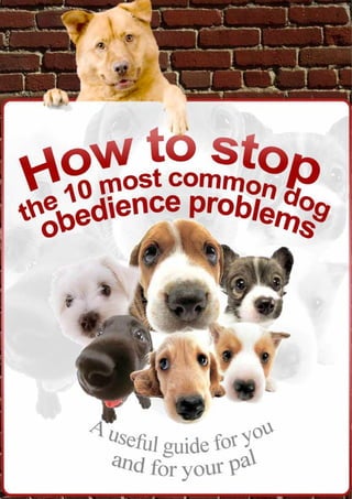 https://image.slidesharecdn.com/dogtraining-141011083432-conversion-gate02/85/free-dog-training-ebook-10-common-dog-obedience-problems-and-solutions-1-320.jpg?cb=1668610804