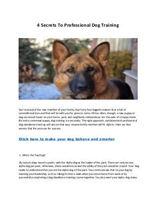 4 Secrets To Professional Dog Training
You’re proud of the new member of your family, that furry four-legged creature that is full of
unconditional love and that will be with you for years to come. All too often, though, a new puppy or
dog can wreak havoc on your home, yard, and neighborly relationships. For the sake of a happy home
life and a contented puppy, dog training is a necessity. The right approach, combined with professional
dog obedience training, will ensure that your newest family member will fit right in. Here are four
secrets that the pros use for success.
Click here to make your dog behave and smarter
1. Who’s the Top Dog?
By nature, dogs travel in packs, with the alpha dog as the leader of the pack. There can only be one
alpha dog per pack; otherwise, chaos would ensue and the safety of the pack would be in peril. Your dog
needs to understand that you are the alpha dog of the pack. You communicate that to your dog by
exerting your leadership, such as taking him for a walk when you come home from work or by
successfully completing a dog obedience training course together. You also exert your alpha dog status
 