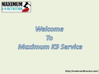 http://maximumk9service.com/
 