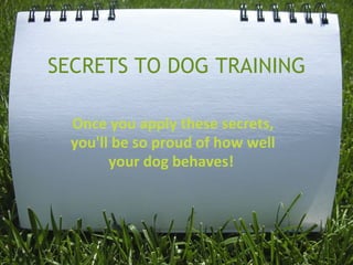 SECRETS TO DOG TRAINING Once you apply these secrets, you'll be so proud of how well your dog behaves!  