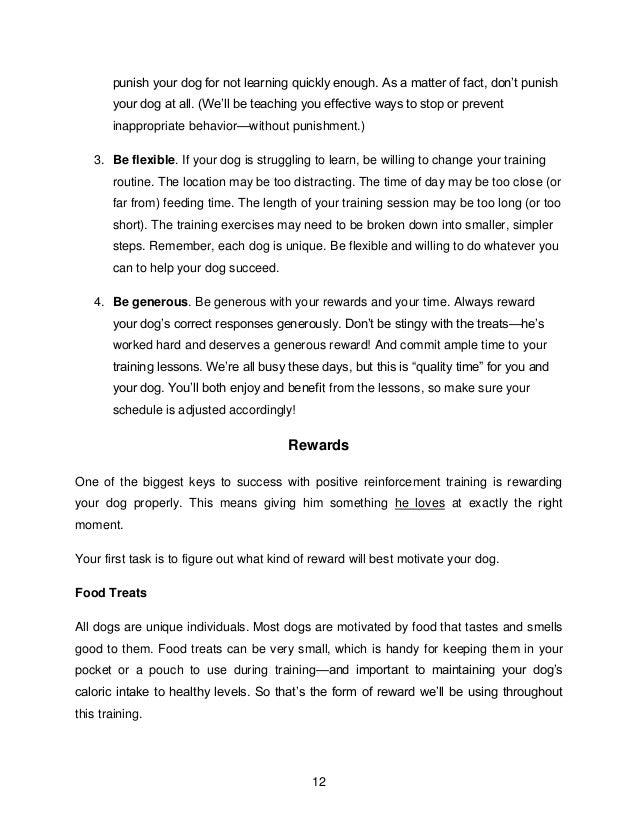 Dog training 101 - Learn The Techniques The Dog Training Schools Use