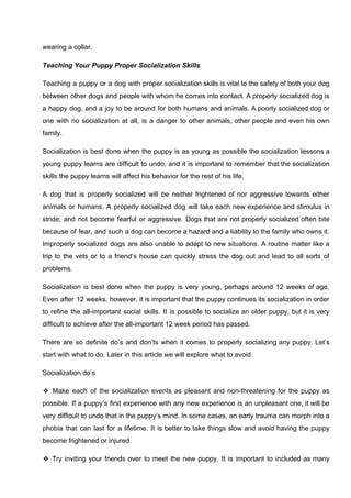 wearing a collar.
Teaching Your Puppy Proper Socialization Skills
Teaching a puppy or a dog with proper socialization skills is vital to the safety of both your dog
between other dogs and people with whom he comes into contact. A properly socialized dog is
a happy dog, and a joy to be around for both humans and animals. A poorly socialized dog or
one with no socialization at all, is a danger to other animals, other people and even his own
family.
Socialization is best done when the puppy is as young as possible the socialization lessons a
young puppy learns are difficult to undo, and it is important to remember that the socialization
skills the puppy learns will affect his behavior for the rest of his life.
A dog that is properly socialized will be neither frightened of nor aggressive towards either
animals or humans. A properly socialized dog will take each new experience and stimulus in
stride, and not become fearful or aggressive. Dogs that are not properly socialized often bite
because of fear, and such a dog can become a hazard and a liability to the family who owns it.
Improperly socialized dogs are also unable to adapt to new situations. A routine matter like a
trip to the vets or to a friend’s house can quickly stress the dog out and lead to all sorts of
problems.
Socialization is best done when the puppy is very young, perhaps around 12 weeks of age.
Even after 12 weeks, however, it is important that the puppy continues its socialization in order
to refine the all-important social skills. It is possible to socialize an older puppy, but it is very
difficult to achieve after the all-important 12 week period has passed.
There are so definite do’s and don’ts when it comes to properly socializing any puppy. Let’s
start with what to do. Later in this article we will explore what to avoid.
Socialization do’s
❖ Make each of the socialization events as pleasant and non-threatening for the puppy as
possible. If a puppy’s first experience with any new experience is an unpleasant one, it will be
very difficult to undo that in the puppy’s mind. In some cases, an early trauma can morph into a
phobia that can last for a lifetime. It is better to take things slow and avoid having the puppy
become frightened or injured.
❖ Try inviting your friends over to meet the new puppy. It is important to included as many
 
