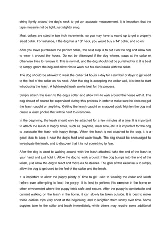 string lightly around the dog’s neck to get an accurate measurement. It is important that the
tape measure not be tight, just slightly snug.
Most collars are sized in two inch increments, so you may have to round up to get a properly
sized collar. For instance, if the dog has a 13” neck, you would buy a 14” collar, and so on.
After you have purchased the perfect collar, the next step is to put it on the dog and allow him
to wear it around the house. Do not be dismayed if the dog whines, paws at the collar or
otherwise tries to remove it. This is normal, and the dog should not be punished for it. It is best
to simply ignore the dog and allow him to work out his own issues with the collar.
The dog should be allowed to wear the collar 24 hours a day for a number of days to get used
to the feel of the collar on his neck. After the dog is accepting the collar well, it is time to start
introducing the leash. A lightweight leash works best for this process.
Simply attach the leash to the dog’s collar and allow him to walk around the house with it. The
dog should of course be supervised during this process in order to make sure he does not get
the leash caught on anything. Getting the leash caught or snagged could frighten the dog and
create a leash phobia that will be hard to overcome.
In the beginning, the leash should only be attached for a few minutes at a time. It is important
to attach the leash at happy times, such as playtime, meal time, etc. It is important for the dog
to associate the leash with happy things. When the leash is not attached to the dog, it is a
good idea to keep it near the dog’s food and water bowls. The dog should be encouraged to
investigate the leash, and to discover that it is not something to fear.
After the dog is used to walking around with the leash attached, take the end of the leash in
your hand and just hold it. Allow the dog to walk around. If the dog bumps into the end of the
leash, just allow the dog to react and move as he desires. The goal of this exercise is to simply
allow the dog to get used to the feel of the collar and the leash.
It is important to allow the puppy plenty of time to get used to wearing the collar and leash
before ever attempting to lead the puppy. It is best to perform this exercise in the home or
other environment where the puppy feels safe and secure. After the puppy is comfortable and
content walking on the leash in the home, it can slowly be taken outside. It is best to make
these outside trips very short at the beginning, and to lengthen them slowly over time. Some
puppies take to the collar and leash immediately, while others may require some additional
 