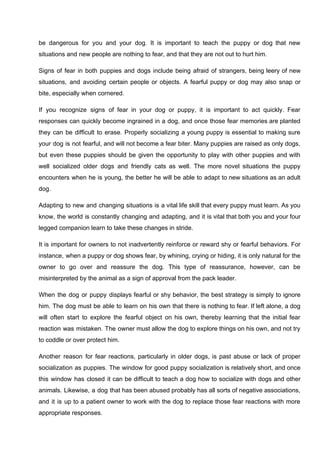 be dangerous for you and your dog. It is important to teach the puppy or dog that new
situations and new people are nothing to fear, and that they are not out to hurt him.
Signs of fear in both puppies and dogs include being afraid of strangers, being leery of new
situations, and avoiding certain people or objects. A fearful puppy or dog may also snap or
bite, especially when cornered.
If you recognize signs of fear in your dog or puppy, it is important to act quickly. Fear
responses can quickly become ingrained in a dog, and once those fear memories are planted
they can be difficult to erase. Properly socializing a young puppy is essential to making sure
your dog is not fearful, and will not become a fear biter. Many puppies are raised as only dogs,
but even these puppies should be given the opportunity to play with other puppies and with
well socialized older dogs and friendly cats as well. The more novel situations the puppy
encounters when he is young, the better he will be able to adapt to new situations as an adult
dog.
Adapting to new and changing situations is a vital life skill that every puppy must learn. As you
know, the world is constantly changing and adapting, and it is vital that both you and your four
legged companion learn to take these changes in stride.
It is important for owners to not inadvertently reinforce or reward shy or fearful behaviors. For
instance, when a puppy or dog shows fear, by whining, crying or hiding, it is only natural for the
owner to go over and reassure the dog. This type of reassurance, however, can be
misinterpreted by the animal as a sign of approval from the pack leader.
When the dog or puppy displays fearful or shy behavior, the best strategy is simply to ignore
him. The dog must be able to learn on his own that there is nothing to fear. If left alone, a dog
will often start to explore the fearful object on his own, thereby learning that the initial fear
reaction was mistaken. The owner must allow the dog to explore things on his own, and not try
to coddle or over protect him.
Another reason for fear reactions, particularly in older dogs, is past abuse or lack of proper
socialization as puppies. The window for good puppy socialization is relatively short, and once
this window has closed it can be difficult to teach a dog how to socialize with dogs and other
animals. Likewise, a dog that has been abused probably has all sorts of negative associations,
and it is up to a patient owner to work with the dog to replace those fear reactions with more
appropriate responses.
 