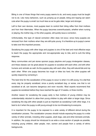 Biting is one of those things that every puppy seems to do, and every puppy must be taught
not to do. Like many behaviors, such as jumping up on people, biting and nipping can seem
cute when the puppy is small, but much less so as he gets older, larger and stronger.
Left to their own devices, most puppies learn to control their biting reflex from their mothers
and from their littermates. When the puppy becomes overenthusiastic, whether when nursing
or playing, the mother dog, or the other puppies, will quickly issue a correction.
Unfortunately, this type of natural correction often does not occur, since many puppies are
removed from their mothers when they are still quite young. It is therefore up to puppy’s owner
to take over this important process.
Socializing the puppy with other dogs and puppies is one of the best and most effective ways
to teach the puppy the appropriate and non-appropriate way to bite, and to curb the biting
response.
Many communities and pet stores sponsor puppy playtime and puppy kindergarten classes,
and these classes can be great places for puppies to socialize with each other, and with other
humans and animals as well. As the puppies play with each other, they will natural bite and nip
each other. When one puppy becomes too rough or bites too hard, the other puppies will
quickly respond by correcting it.
The best time for this socialization of the puppy to occur is when it is still young. It is vital that
every dog be properly socialized, since a poorly socialized dog, or worse, one that is not
socialized at all, can become dangerous and even neurotic. Most experts recommend that
puppies be socialized before they have reached the age of 12 weeks, or three months.
Another reason for socializing the puppy early is that mothers of young children may be
understandably reluctant to allow their young children to play with older or larger dogs. Since
socializing the dog with other people is just as important as socializing it with other dogs, it is
best to do it when the puppy is still young enough to be non-threatening to everyone.
It is important for the puppy to be exposed to a wide variety of different stimuli during the
socialization process. The socialization process should include exposing the puppy to a wide
variety of other animals, including other puppies, adult dogs, cats and other domestic animals.
In addition, the puppy should be introduced to as wide a cross section of people as possible,
including young children, older people, men, women and people from a variety of ethnic
backgrounds.
 