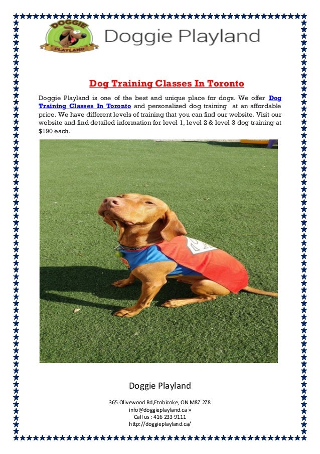 dog training etobicoke